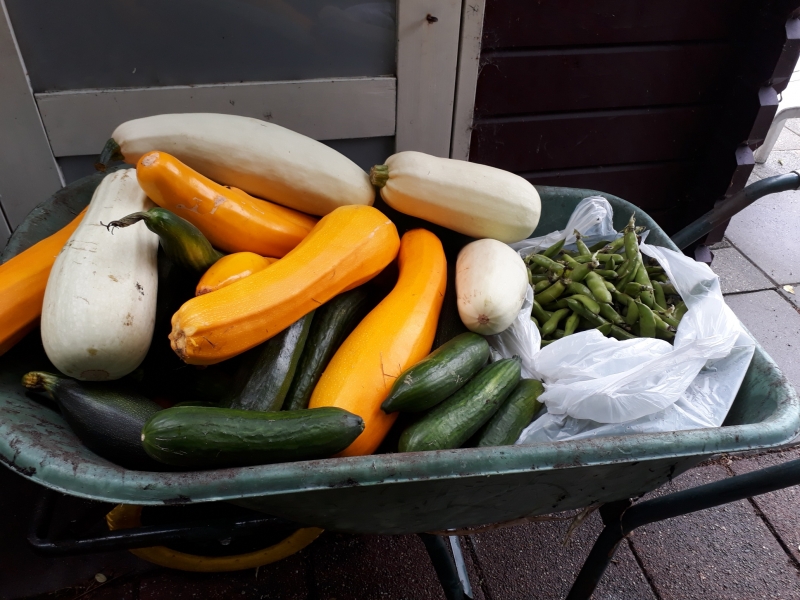 Augustus 2019. Elke vrijdag gaan er verse groenten naar de voedselbank.