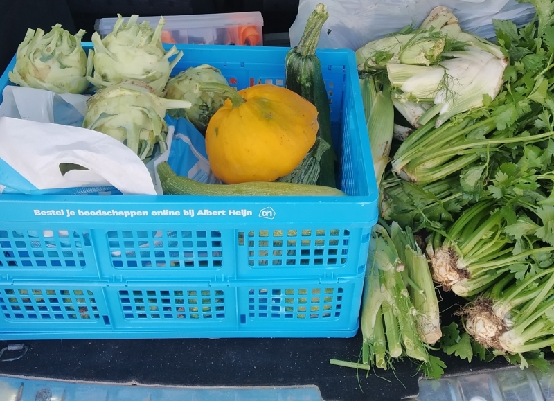augustus 2019 verse groenten voor de voedselbank
