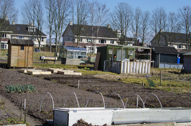 De tuin van Geeske (nr 68) op 7 april 2013